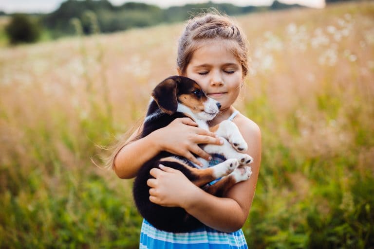 Kind hält Hundewelpen in Armen